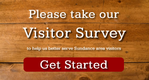 visitors-survey.jpg