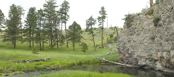 Black Hills National Forest