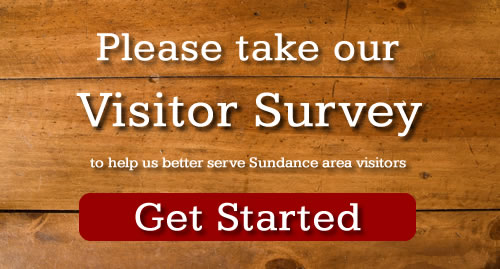 visitors survey